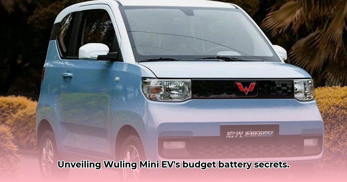 wuling-hongguang-mini-ev-battery